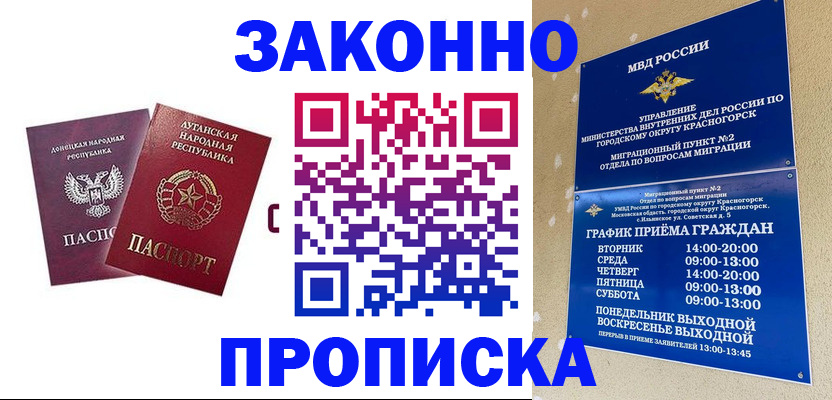 прописка в Раменском